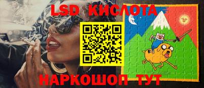 прущие грибы Будённовск