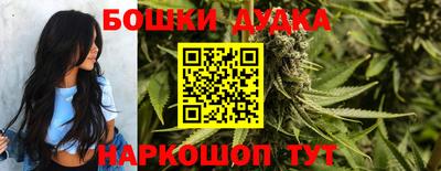 прущие грибы Будённовск