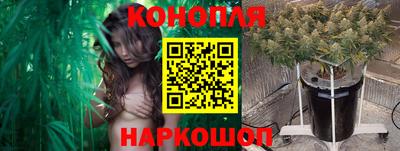 прущие грибы Будённовск