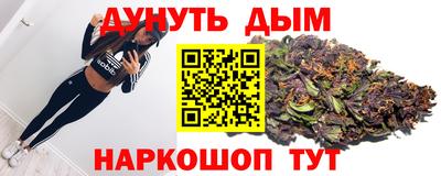прущие грибы Будённовск