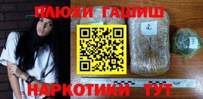 прущие грибы Будённовск
