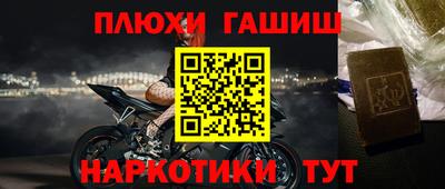 прущие грибы Будённовск