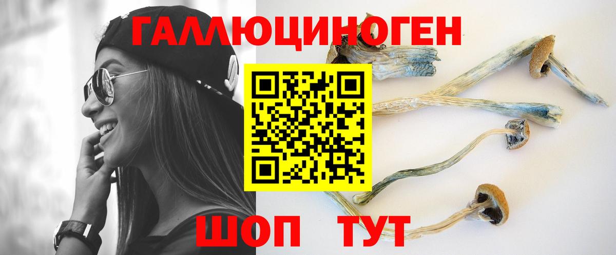 Минеральные Воды  Псилоцибиновые грибы Psilocybe  Псилоцибиновые грибы мухоморы  Вход с VPN 