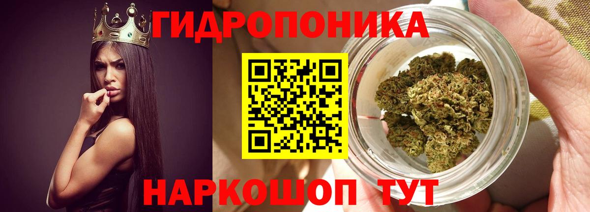 Конопля тримм  Вход с VPN  Каннабис VHQ  Минеральные Воды 